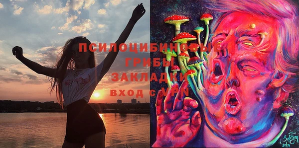 кокаин перу Богданович