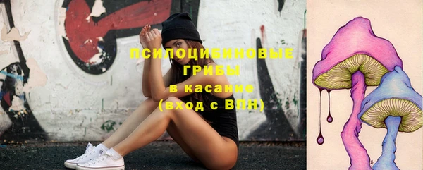 кокаин перу Богданович