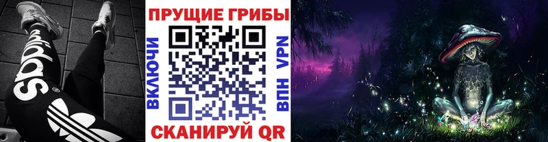 Псилоцибиновые грибы Magic Shrooms  Нижний Новгород 